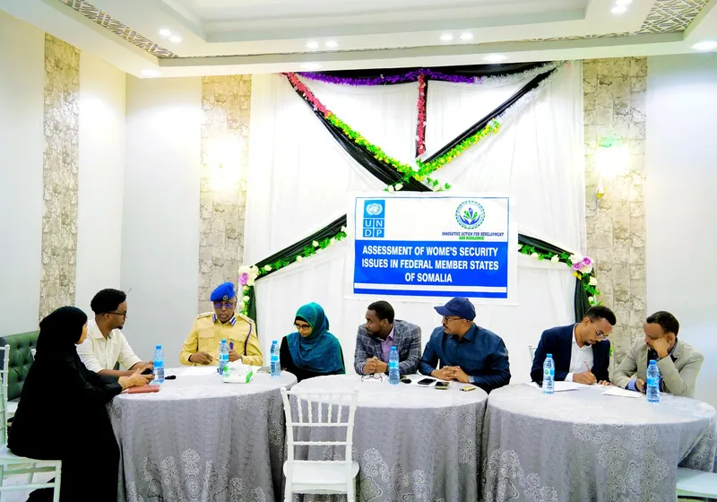 IMPACTSOM consultants at an institutional development engagement