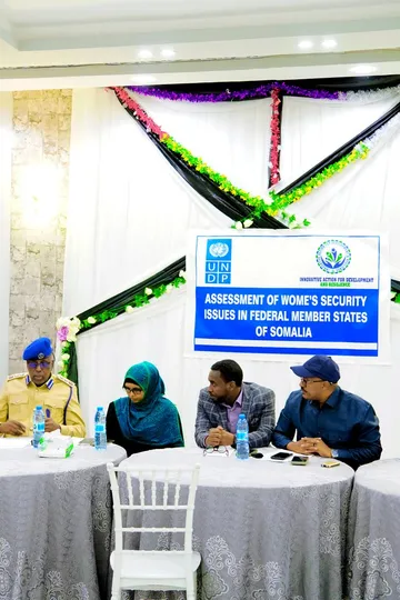 IMPACTSOM consultants at an institutional development engagement