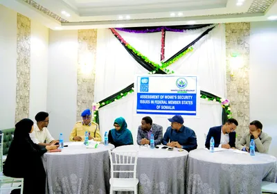 IMPACTSOM consultants at an institutional development engagement