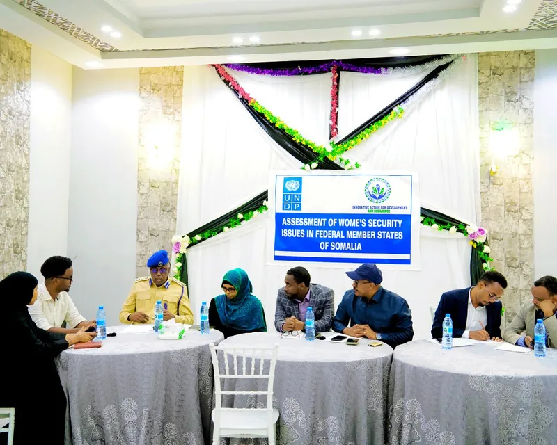 IMPACTSOM consultants at an institutional development engagement